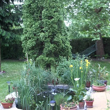 公寓 Apartmanhaz Gabriella