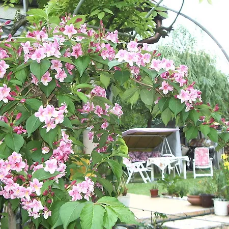 公寓 Apartmanhaz Gabriella